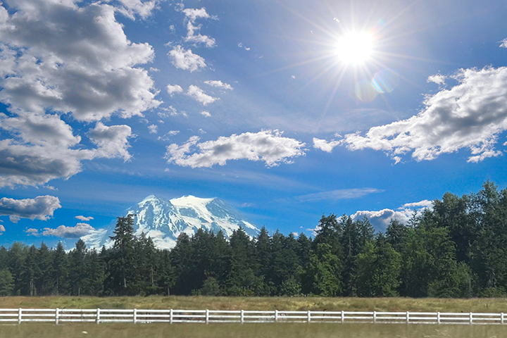 Mt. Rainer
